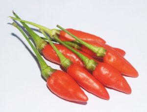 Kenton Products - Chillies