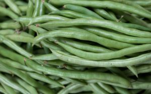 Kenton Farm - Beans Harvested